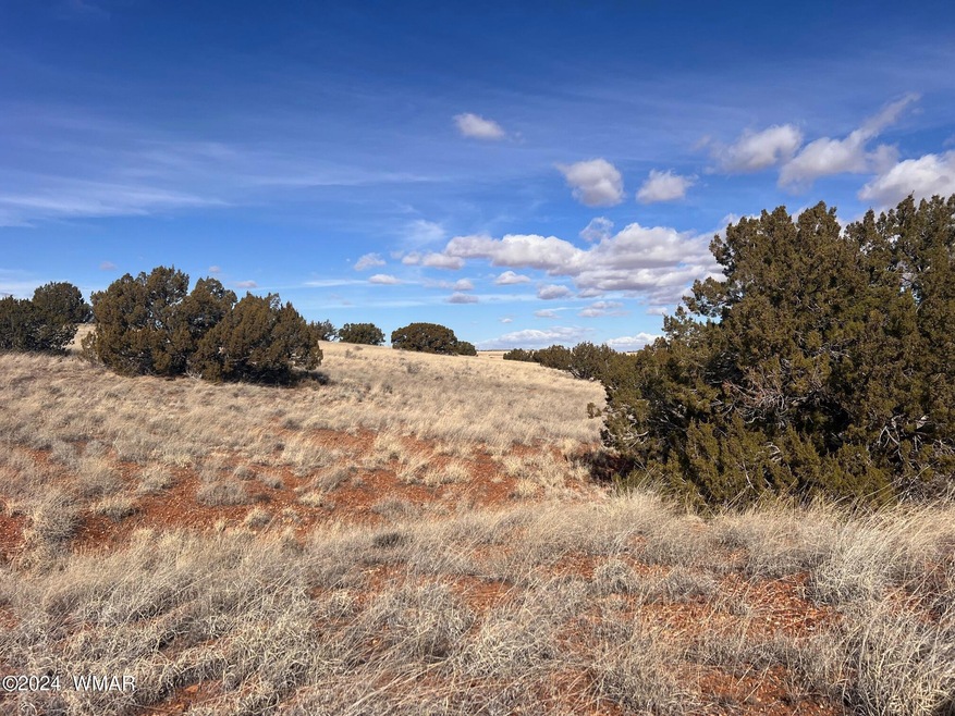 0 Poplar St, Snowflake, AZ 85937 - photo 1