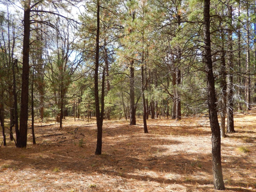 2 Pined Acres