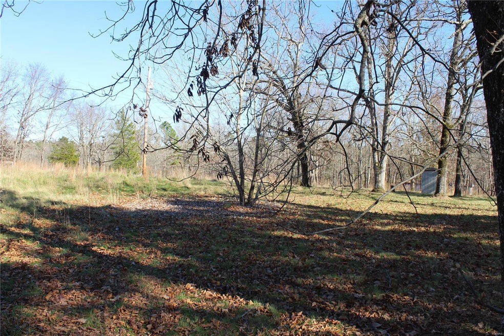 0 Tbd County Road 488, Poplar Bluff, MO 63901 - photo 1