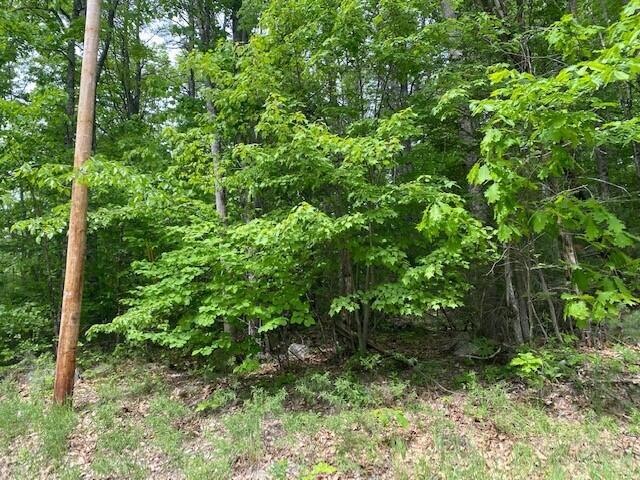 Map 41 Lot Grandview Dr, Limerick, ME 04048 - photo 1