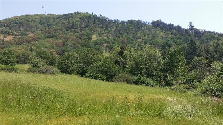 917 NE Heritage, Grants Pass, OR 97526 - photo 1