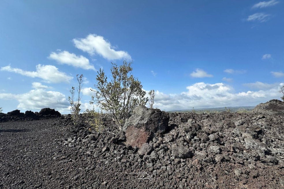 For Sale $75,000 • Co-Listing Agent