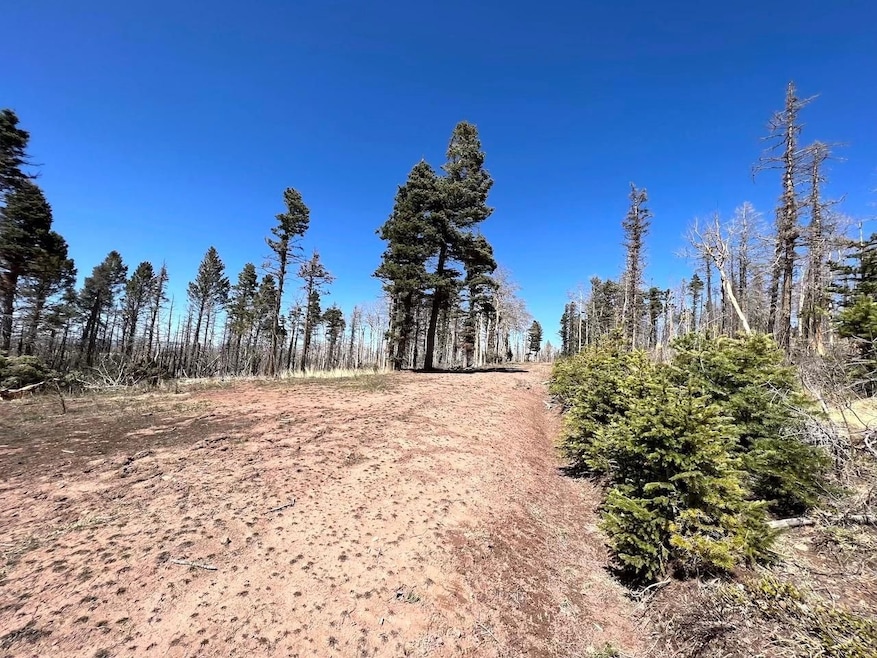 0 Colorado 159 unit 25751515, Fort Garland, CO - photo 1