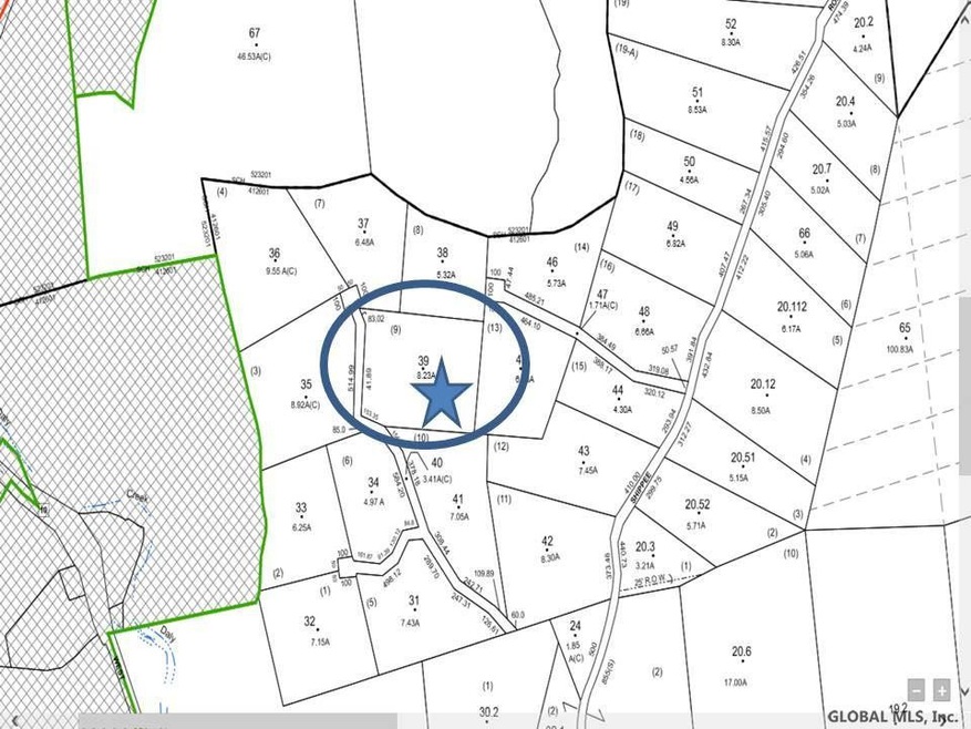 0 Slicker Rd unit Shippee Rd Rear, Day, NY 12822 - photo 1