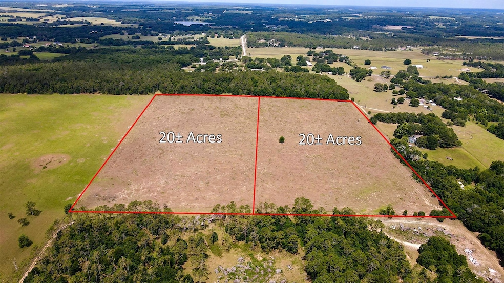 17306 Parrish Grove Rd, Dade City, FL 33523 - photo 1