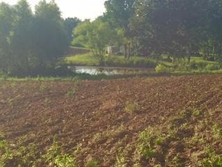 0 Pomona Claysville Rd unit 972122, Crossville, TN 38571 - photo 1