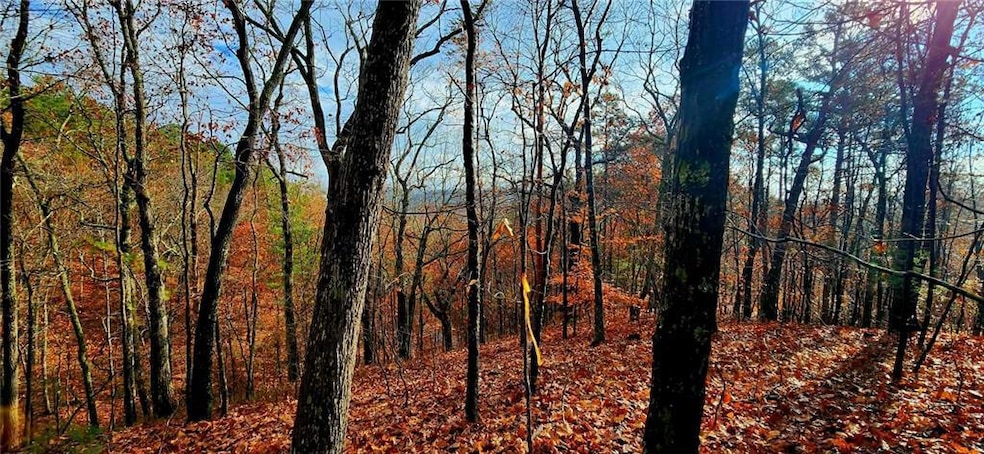 561 Parable Ct, Ranger, GA 30734 - photo 1