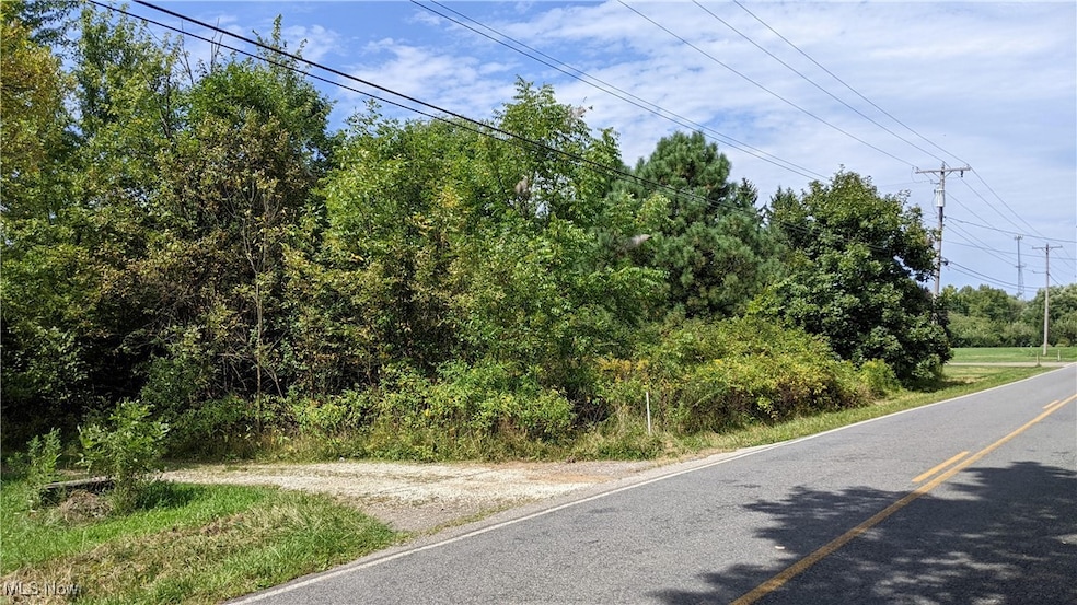 9376 Daniels Rd, Seville, OH 44273 - photo 1