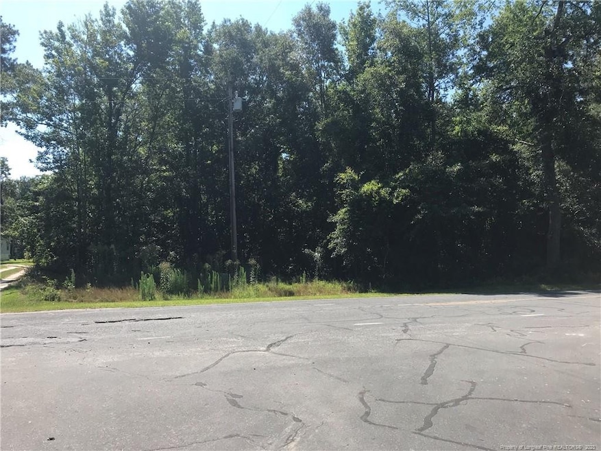 TBD Crenshaw Rd, Lumber Bridge, NC 28357 - photo 1