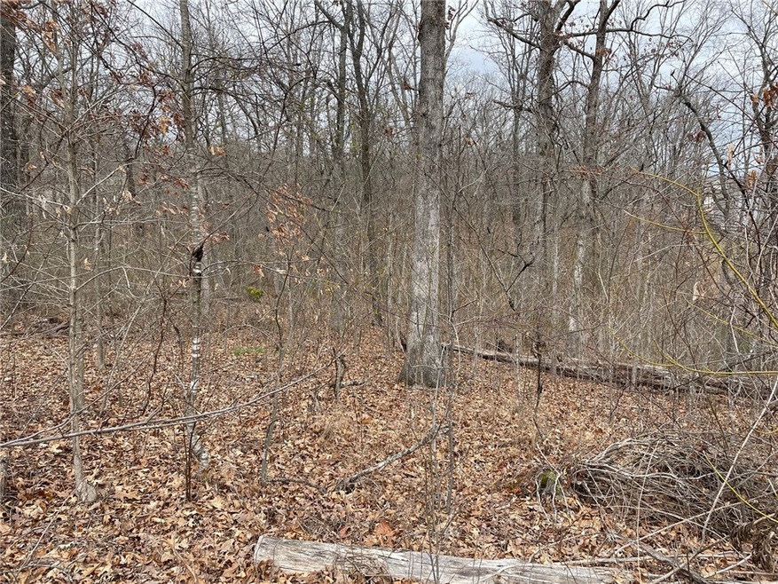 0 Rockhill Ln unit 1241826, Bella Vista, AR 72715 - photo 1