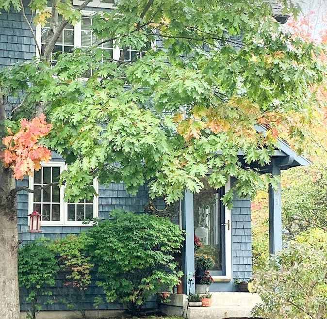 Oak Tree at front door