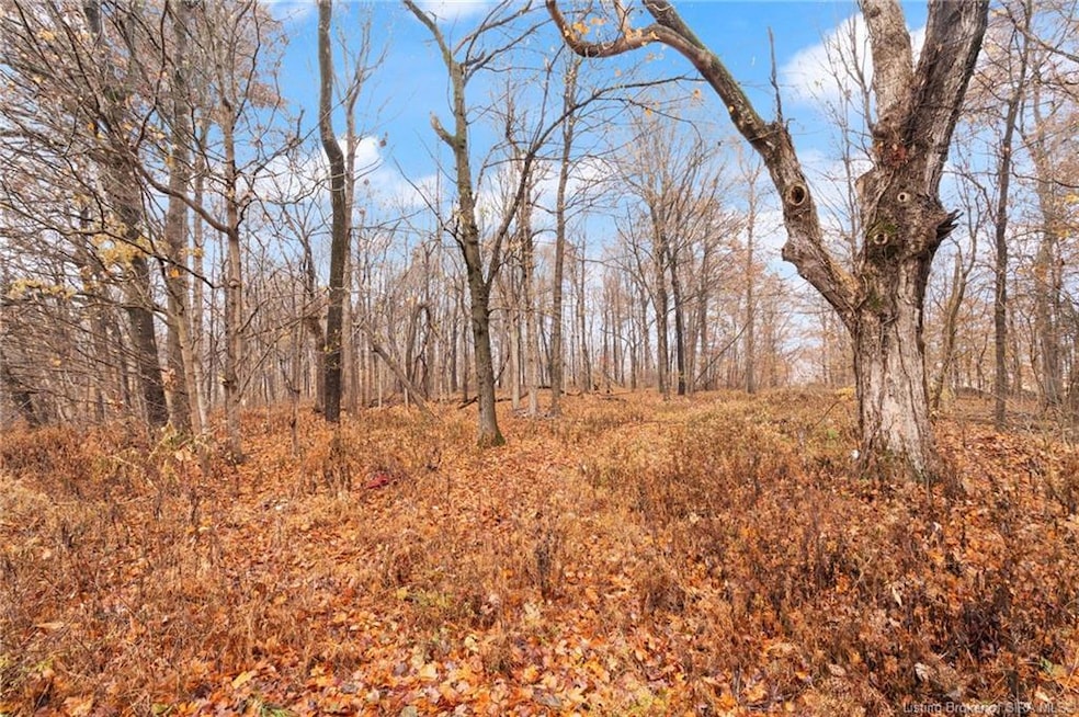 8500 W South Old Highway 11 SE, Laconia, IN 47135 - photo 1