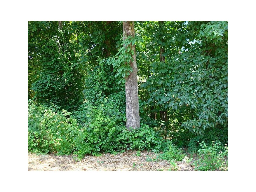 Land/Lot.