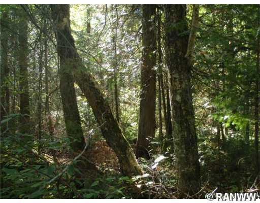 0 Edming Rd, True, WI 54526 - photo 1