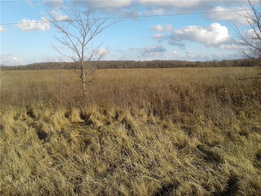 20181228_151131.jpg