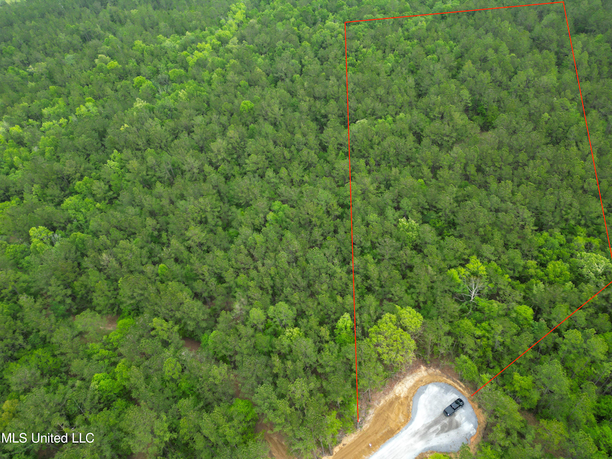 Ariel View