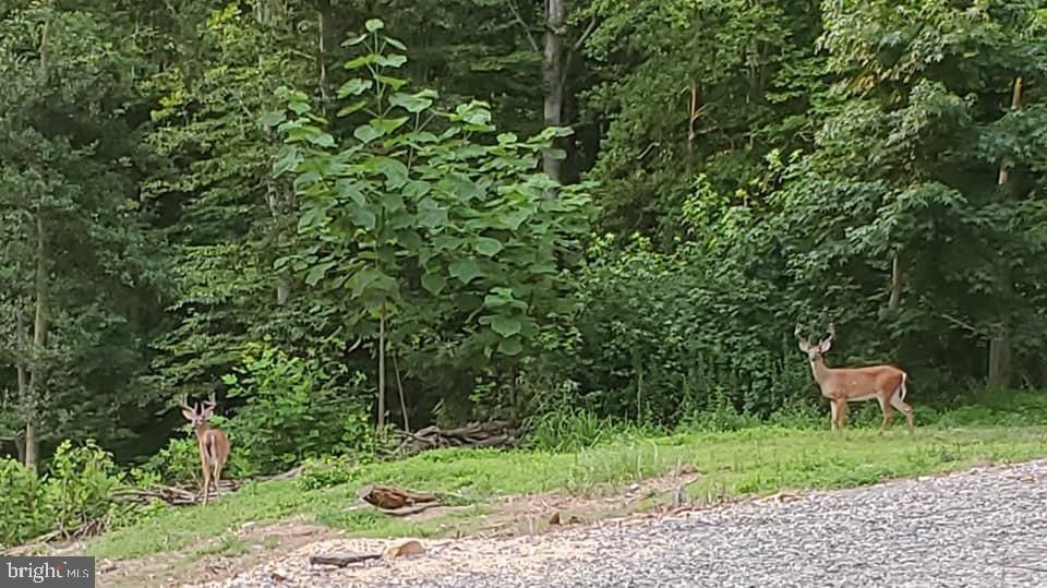 12640 Mill Rd, Fredericksburg, VA 22407 - photo 1