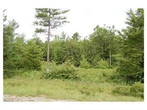 Lot 7