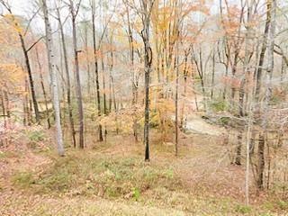 0 Dial Mill Rd unit 6886581, Conyers, GA 30013 - photo 1