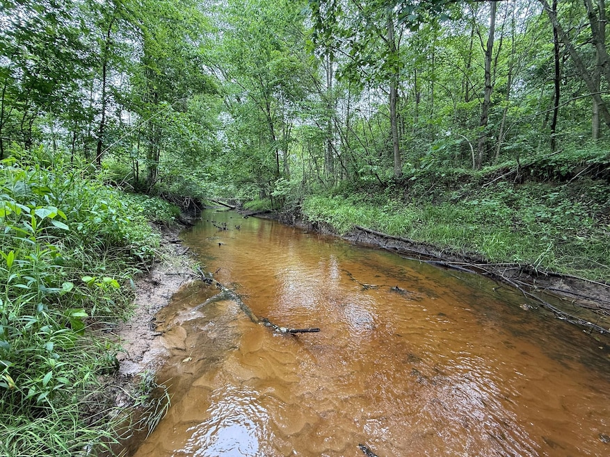 0 W Short Rd unit 25026044, Sanford, MI 48657 - photo 1