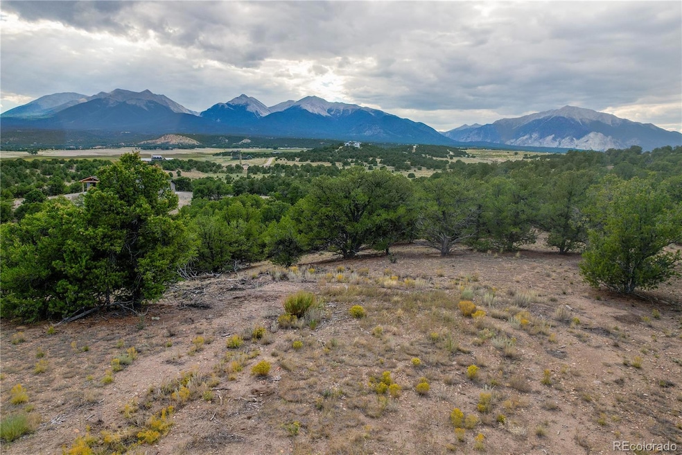 10286 Pioneer Trc, Nathrop, CO 81236 - photo 1