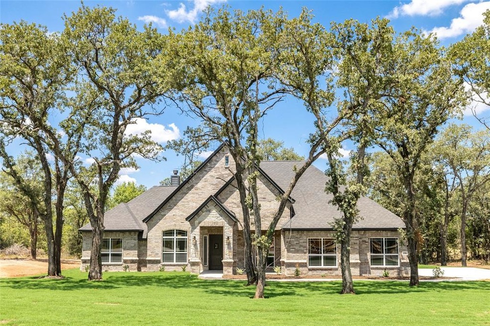 196 Clayton Crossing, Springtown, TX 76082 - photo 1