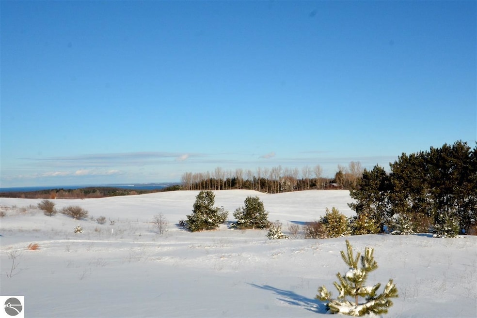 8399 Boca Vista Trail unit 9, Traverse City, MI 49684 - photo 1