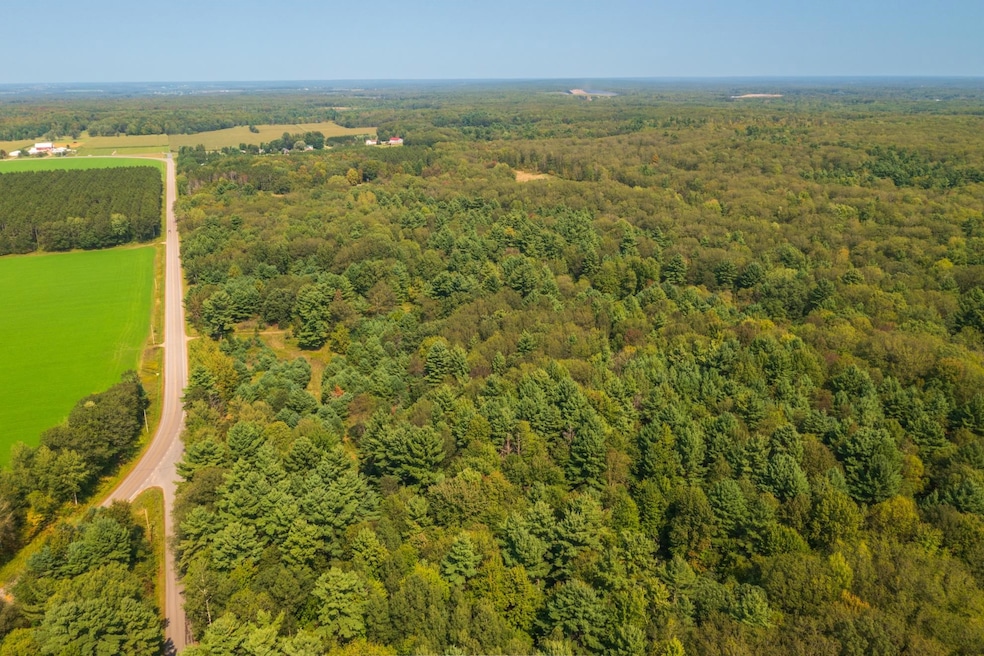 105.25 acres County Road Q, Ringle, WI 54471 - photo 1