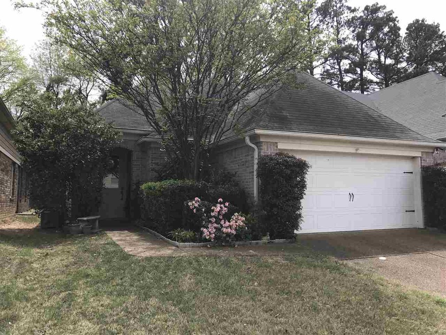 7161 Chena Bay Ln, Cordova, TN 38018 - photo 1