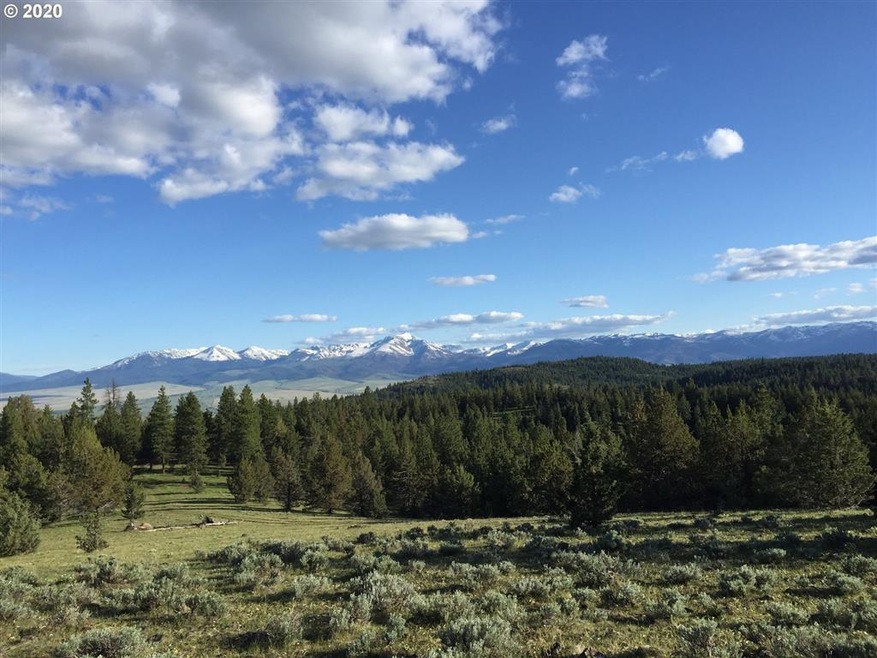 0 Grant Pine Hunt unit 20159261, Prairie City, OR 97869 - photo 1