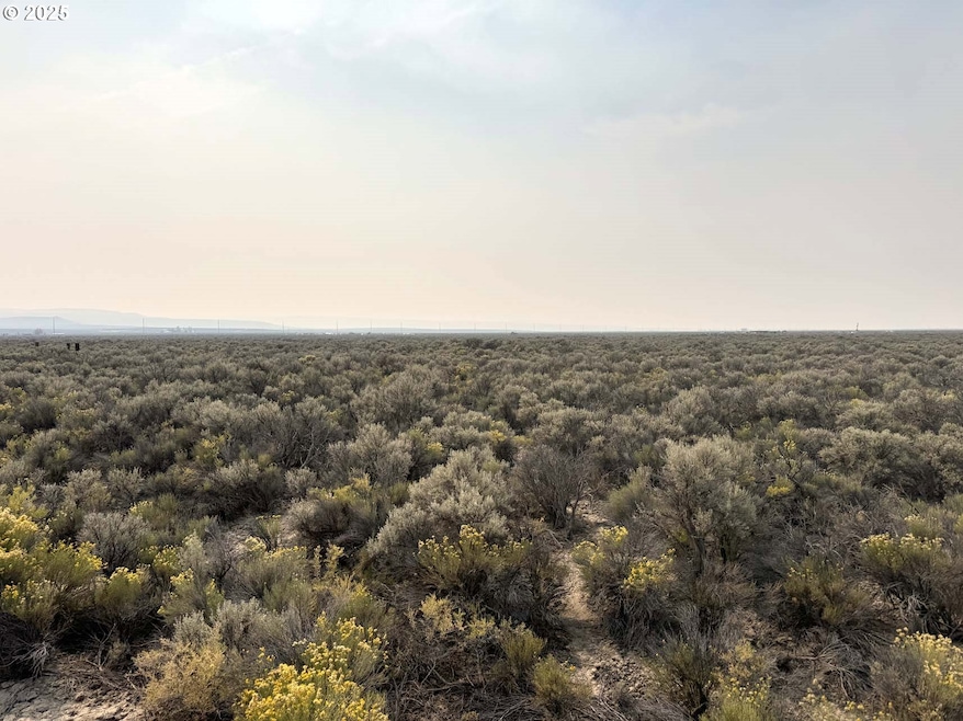 0 Christmas Valley Hwy unit 600, Christmas Valley, OR 97641 - photo 1