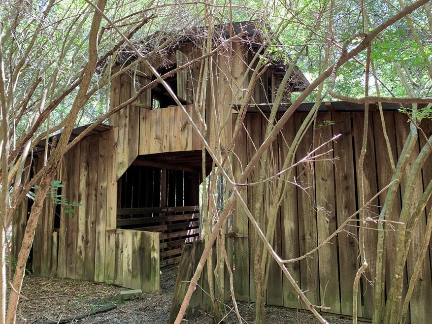 Main View
