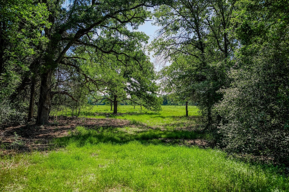 View of undeveloped land