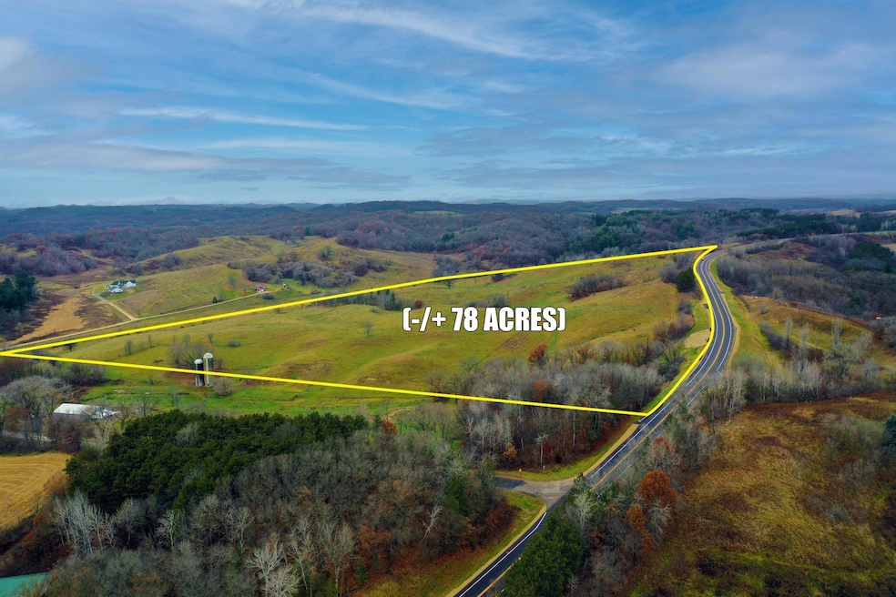 TBD S State Road 93, Pleasant Valley Township, WI 54738 - photo 1