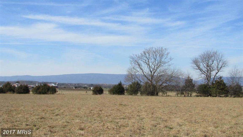 0 Log Cabin Dr unit 1004078257, Stanley, VA 22851 - photo 1