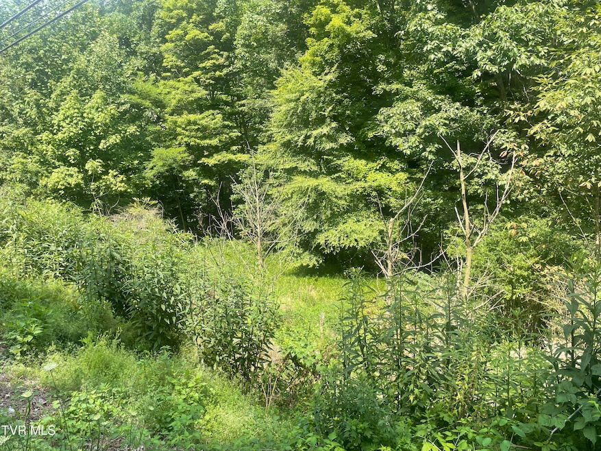 TBD Highway 19E land