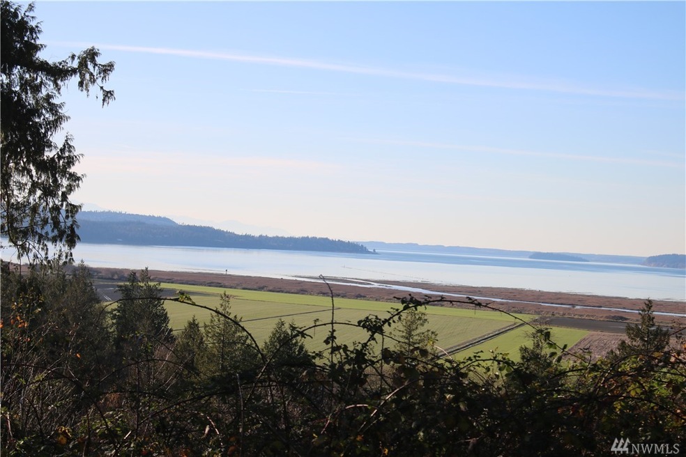 0 Sande Rd, Stanwood, WA 98292 - photo 1