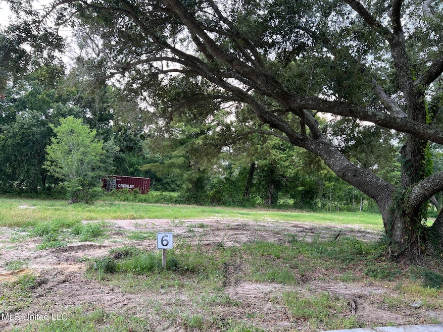 Lot 6