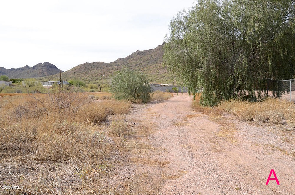 Looking North along East property line
