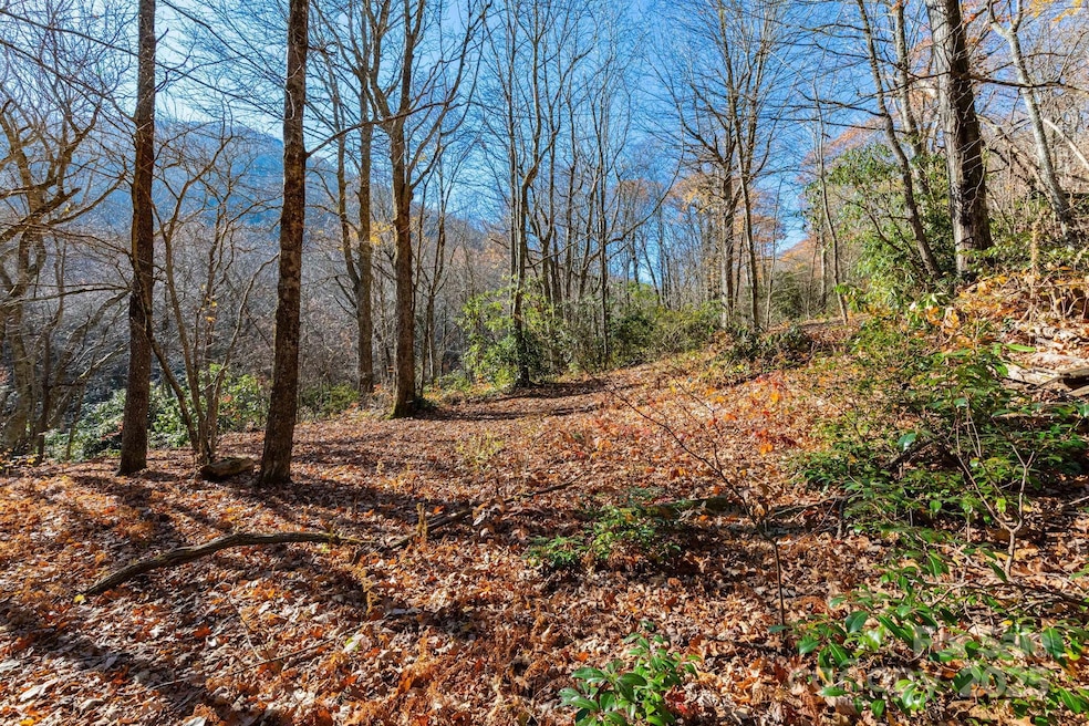 Lot Huckleberry Dr unit 24, Maggie Valley, NC 28751 - photo 1