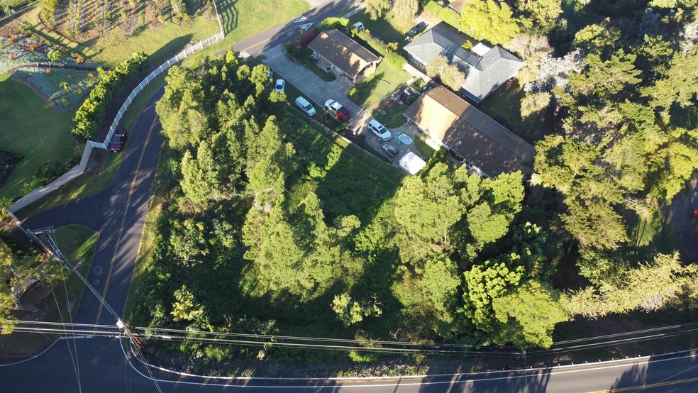 0 Ainakula Rd unit Lot 9-C 394854, Kula, HI 96790 - photo 1