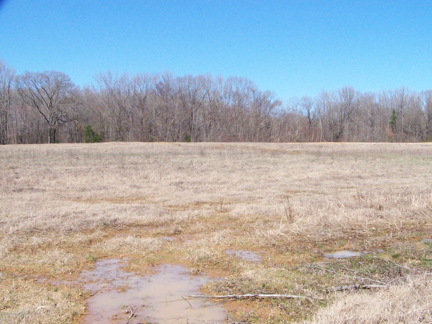 887 Highway 305, Hernando, MS 38632 - photo 1