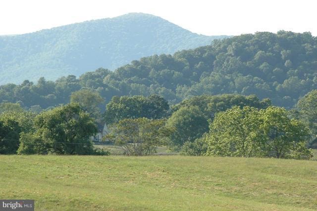 38 Lyle Ln, Amissville, VA 20106 - photo 1