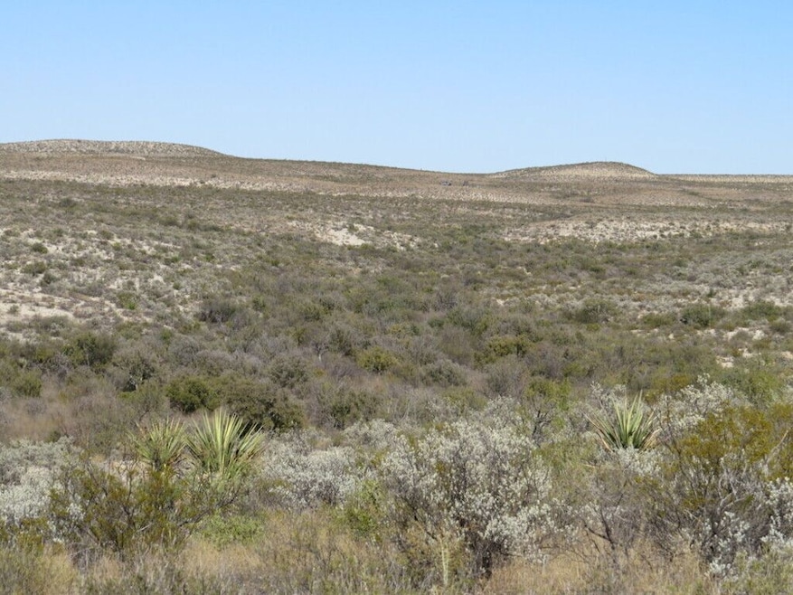 Indian Water Hole Ranch Tract 30, Dryden, TX 78851 - photo 1
