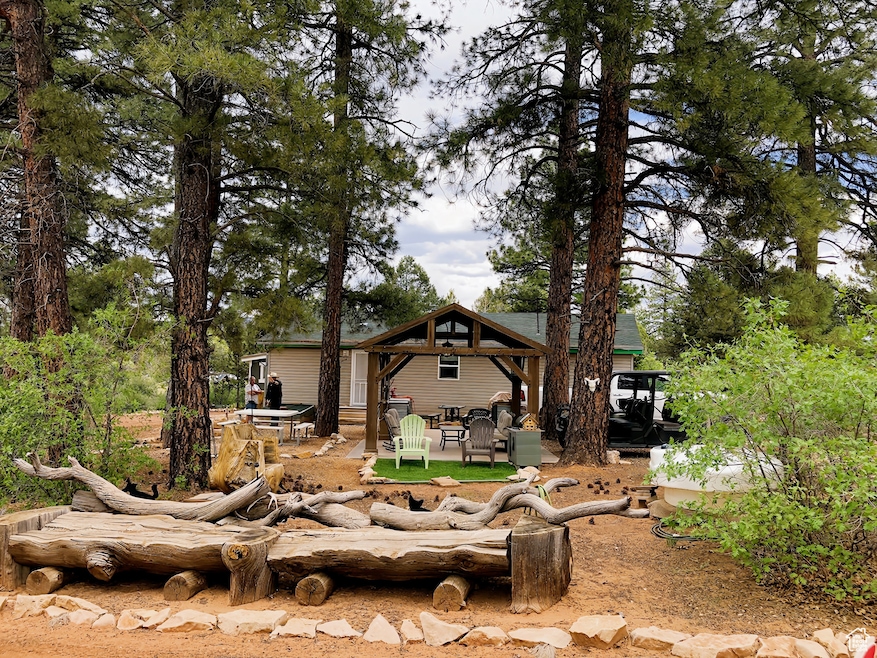 Back of house with a patio and entry steps