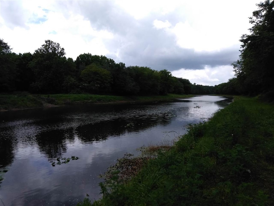 9785 E Deep Creek Blvd, Hastings, FL 32145 - photo 1