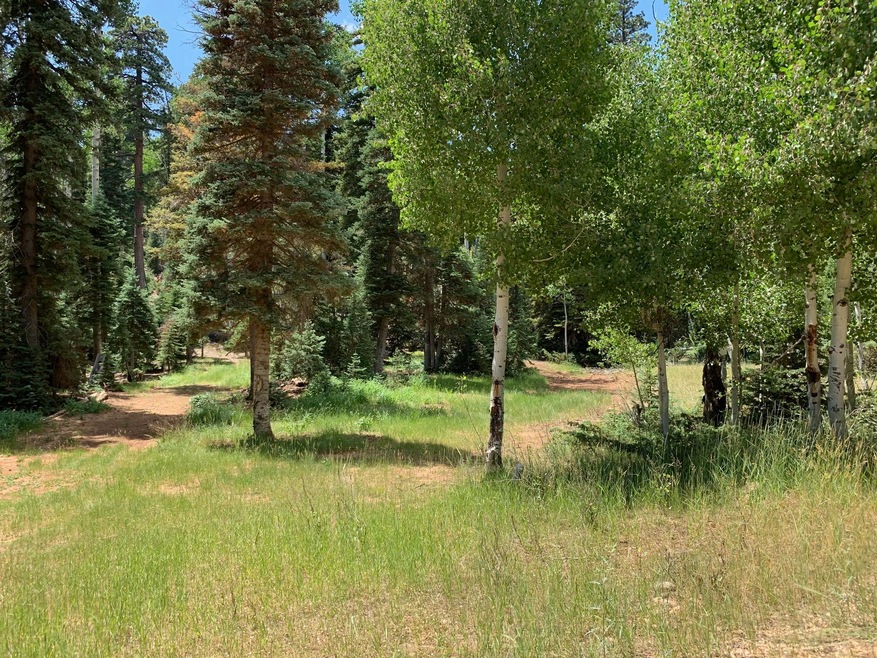 865 W Bear Track, Duck Creek Village, UT 84762 - photo 1