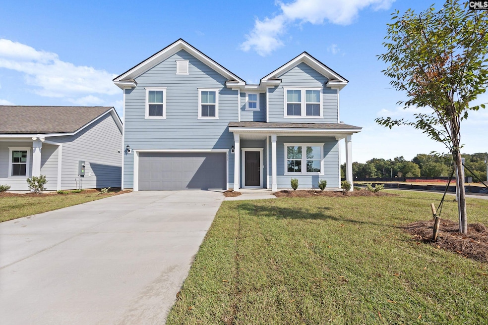 133 Monroe Preserve Ln, Chapin, SC 29036 - photo 1