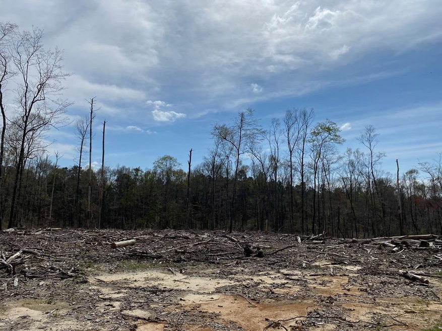 N/A D P Guy Rd, Ruth, MS 39662 - photo 1