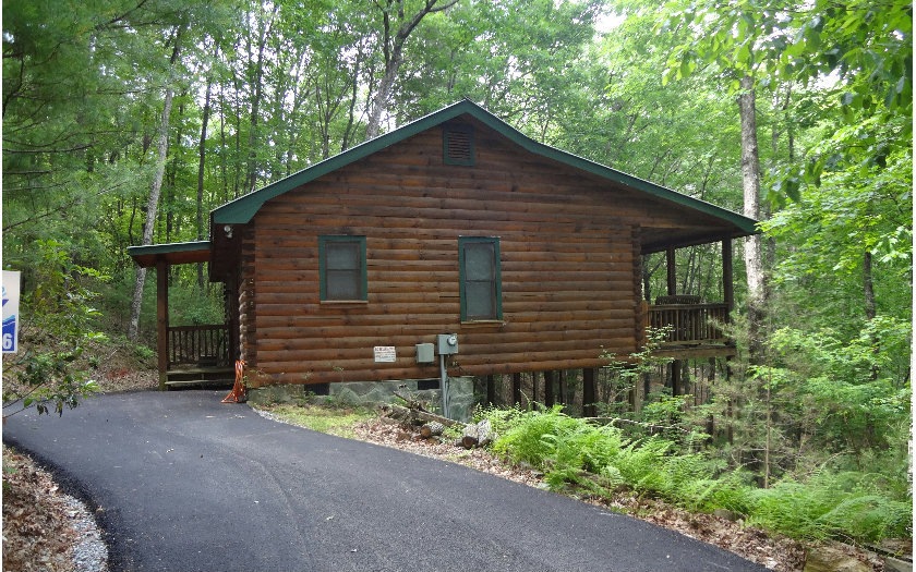 Main View
